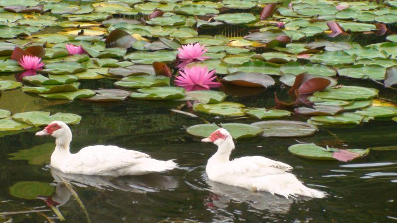Nirvana Spiritual Retreat グロスター エクステリア 写真